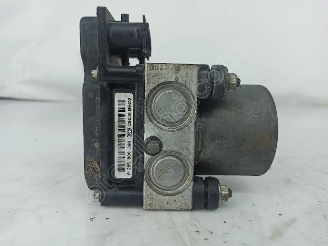 CİTRON C5 ABS BEYNİ