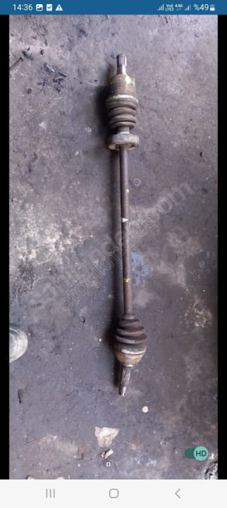 Yumurta kasa sag aks