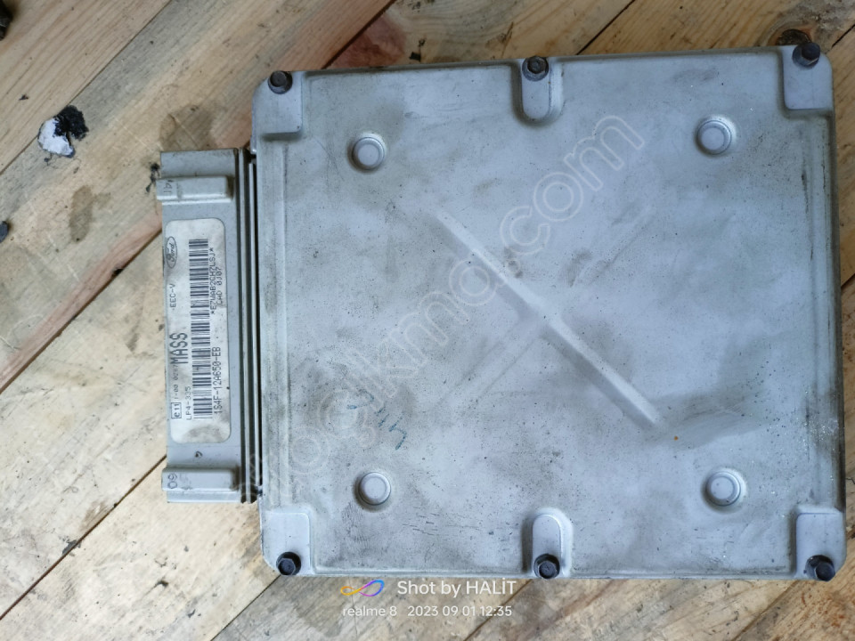 2004 focus motor beyni