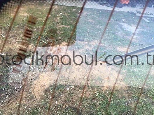 W203 C-Serisi Mercedes Orjinal Yıldızlı Arka Cam - Kusurs