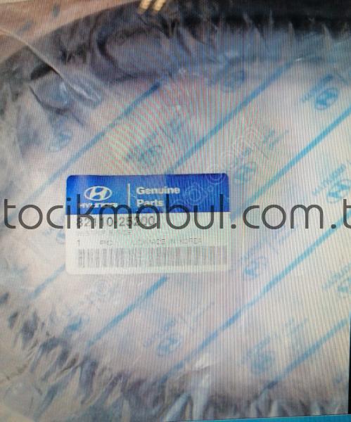 HYUNDAI ACCENT 3DR SOL KAPI CAM FİTİLİ